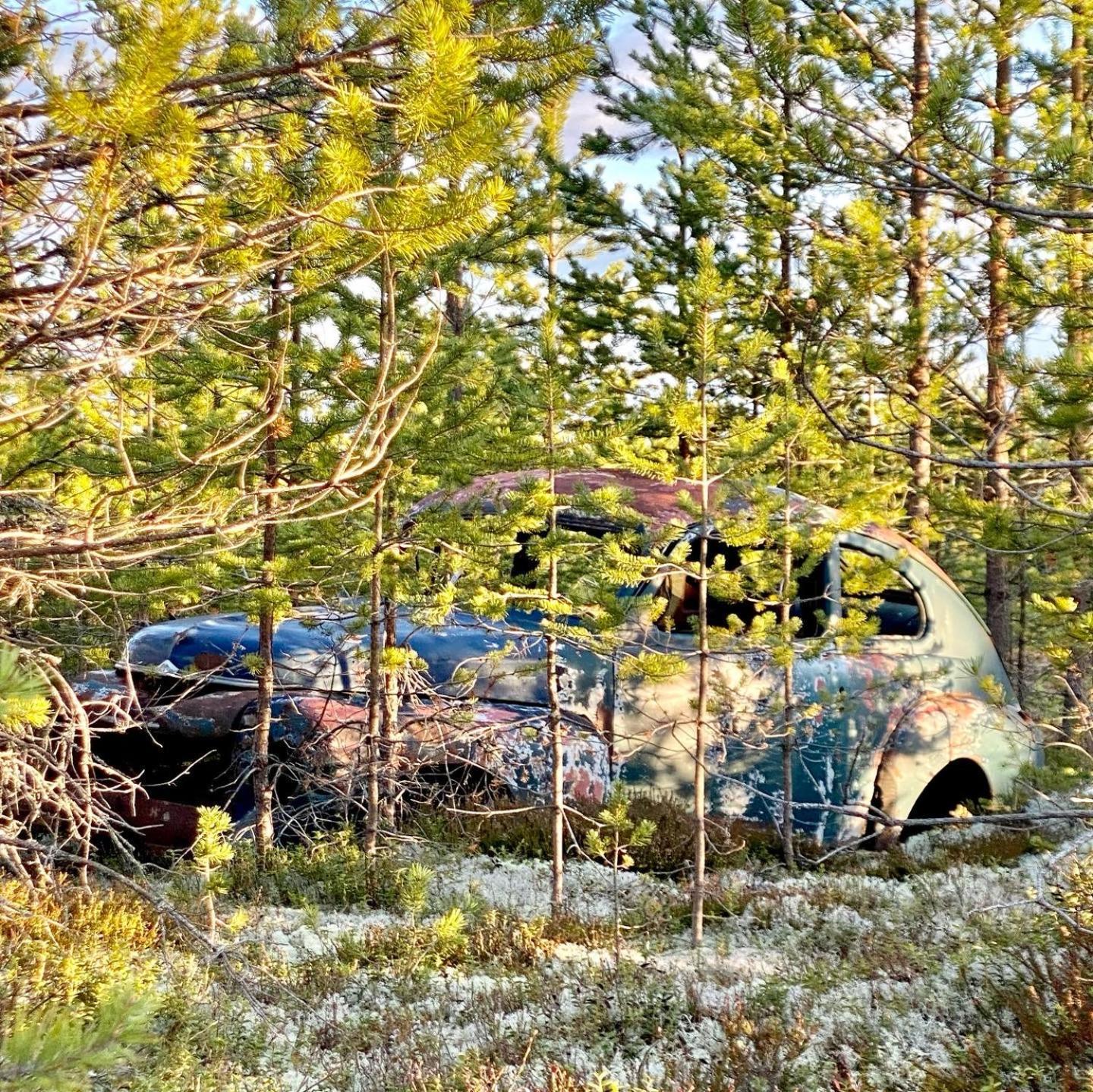 Offroadcamp Hotel Sorsjon ภายนอก รูปภาพ